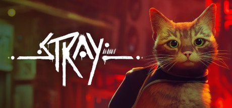 迷失流浪猫 Stray